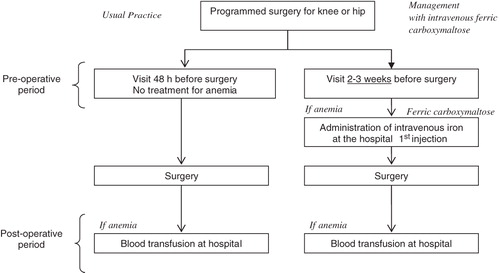 Figure 3.  Comparison of treatment strategies in knee and hip surgery.