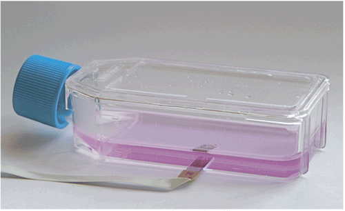 Figure 1.  Sensing cell culture flask (SCCF). A sensor chip, comprising oxygen and optional pH and NO sensors, is integrated in a standard cell culture flask.