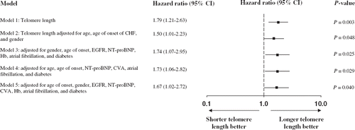 Figure 3. Hazard ratios per unit decrease in telomere length ratio for outcome. The (adjusted) hazard ratio and 95% confidence intervals (CI) are shown for the primary outcome for telomere length ratio univariately (model 1), after adjustment for age, age of CHF onset, and gender (model 2), the model after adjustment for the covariates selected by forward and backward stepwise conditional selection (model 3), the model after adjustment for the covariates selected by the multivariable fractional polynominal closed-test algorithm (model 4), and the model after adjustment for the covariates selected by the Royston and Altman model selection algorithm (model 5). CHF = chronic heart failure; NT-proBNP = N-terminal pro-B-type natriuretic peptide; Hb = hemoglobin; EGFR = estimated renal function; CVA = history of cerebrovascular accident.