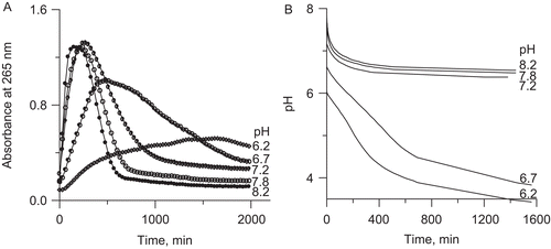 Figure 7.  Kinetic curves of DHA decomposition in the presence of Fe3+ ions at different pHs in the range 6.2–8.2: (A) change in absorbance at 265 nm (27°C), and (B) change in pH in 20 mM phosphate buffer.
