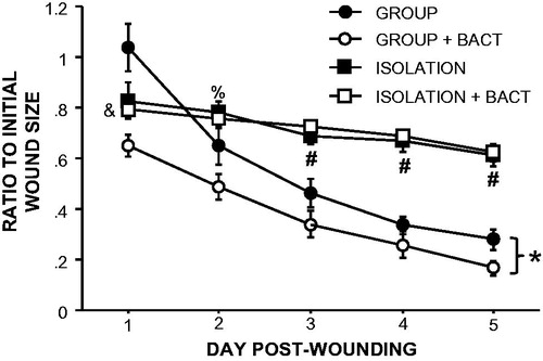 Figure 5. Supplementation of bacteria on wounds does not improve healing in socially isolated mice. Supplementation with indigenous bacteria to wounds at the time of wounding improved healing in group-housed but not isolated mice. n = 5–10/group; *p < 0.05 repeated measures between GROUP and GROUP + BACT; #p < 0.05 between GROUP, GROUP + BACT and ISOLATION, ISOLATION + BACT; &p < 0.05 between ISOLATION + BACT and both GROUP and GROUP + BACT; %p < 0.05 between ISOLATION + BACT and GROUP + BACT.