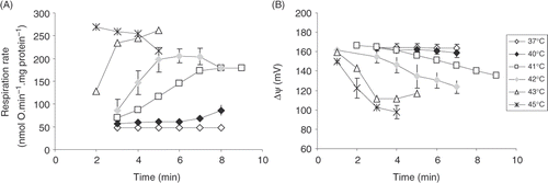 Figure 2. The dependence of state 2 respiration rate (A) and Δψ (B) in heart mitochondria on different incubation temperature and time. Averages from n = 3 independent experiments ± SEM.