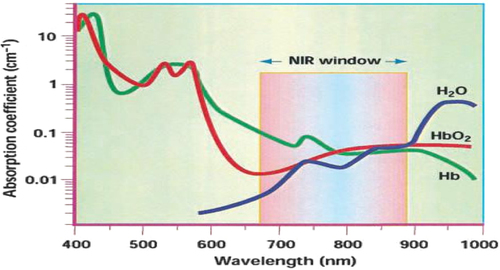 Figure 1. Near Infrared window.