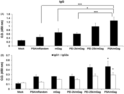 Figure 7. Serum levels of IgG, IgG1 and IgG2a after immunization. Sera from PEI/mGag complexes and naked gag mRNA immunized mice were collected post-immunization. The serum levels of (A) IgG (B) IgG1 and IgG2a antibodies were assayed by ELISA. Both the IgG1 and IgG2a levels in PSA/mGag immunized mice were significantly higher than that of PSA/mRandom, gag mRNA alone and PEI-2k/mGag group (p < 0.05). Data were represented as mean ± SD values (n = 3), *p < 0.05, ***p < 0.005.