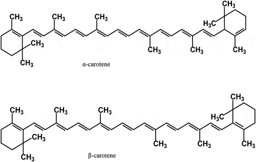 Figure 2. Chemical structure of carotene
