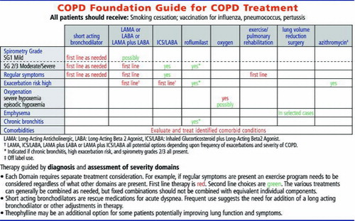 Panel A. 2-panel version (front and back). The version includes the diagnostic summary and therapeutic table based on diagnostic features.