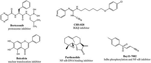 Figure 1. Some reported NF-κB inhibitors.