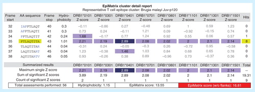 Figure 3. Example of an EpiBar: EpiMatrix analysis of candidate lymphatic filariasis epitope. In addition to providing an overall immunogenicity score, EpiMatrix can be used to analyze epitopes at the local level. A Brugia malayi Juv-p120 peptide is shown above, parsed into 9-mer frames and analyzed for predicted immunogenicity. EpiMatrix assessments above 1.64 constitute the top 5% of predicted HLA binders and are shaded medium blue, while scores above 2.32 fall in the top 1% and are shaded dark blue. This Juv-p120 peptide registers significant scores for all eight alleles in EpiMatrix in a single 9-mer frame, and based on the EpiMatrix method, has a cluster score of 16.81 (reflecting the number of predicted binders per amino acid length). Cluster scores higher than 10 are considered to be significant based on retrospective and prospective studies carried out by the EpiVax group. The band-like pattern illustrated in frame 35 is called an EpiBar and is characteristic of promiscuous epitopes.