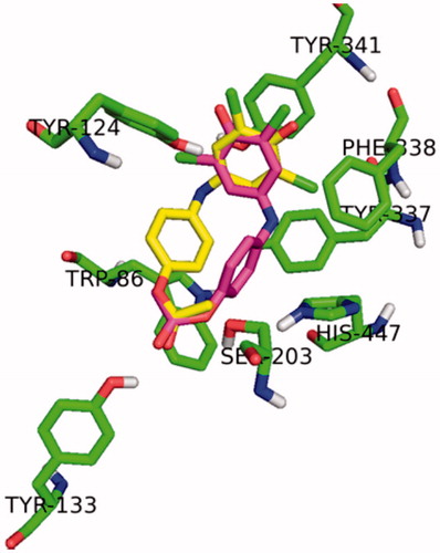 Figure 2. Localization of 2,6-dichloroindophenol acetate (top scored pose: violet = right position for uncolored printing; second top scored pose: yellow in the middle of the picture, left from the top scored pose) in active site of AChE.
