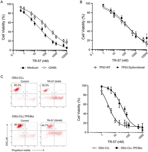 Figure 1. TR-57 induces apoptosis in primary CLL cells and in the OSU-CLL and OSU-CLL-TP53ko cell lines. CLL cell viability was assessed by flow cytometry using DiIC1(5) and PI. Viability is expressed relative to vehicle-treated controls and error bars represent the standard deviation. (A) Primary CLL cells (n = 15 patients), cultured in medium alone or in co-culture with CD40L-fibroblasts, were treated with TR-57 for 48 h. (B) Dose response analysis of TR-57 against TP53 wild-type (n = 8) and TP53 dysfunctional (n = 5) CLL patient samples following 48 h treatment in co-culture with CD40L-fibroblasts. (C) OSU-CLL and OSU-CLL-TP53ko cell lines were treated with TR-57 for 48 h. Data are the mean of 4 biological replicates.
