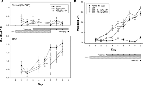 FIG. 2 Naltrexone treatment reduces Disease Activity Index (DAI) scores. Mice that received normal drinking water (saline or NTX-treated) showed no evidence of colitis by DAI score (A, upper panel; mean ± SEM). DAI scores increased over time in both the moderate (A, lower panel) and the severe colitis (B) studies. Treatment with 400 μ g/kg NTX significantly lowered DAI scores in moderate colitis on Day 6 († p = 0.015). In contrast, NTX failed to improve DAI scores of the severe colitis model (B).