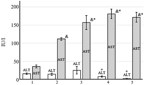 Figure 9. Serum alanine aminotransferase (ALT) and aspartate aminotransferase (AST) activities: control group with no tumor (1), Walker-256 carcinosarcoma-bearing animals receiving no treatment (2), DOX (3), DOX + EMF (4), EMF (5).&Statistically significant difference from control without tumor, p < .05;*Statistically significant difference from control no-treatment with the tumor, p < .05,+Statistically significant difference from tumor rats treated with conventional DOX, p < .05