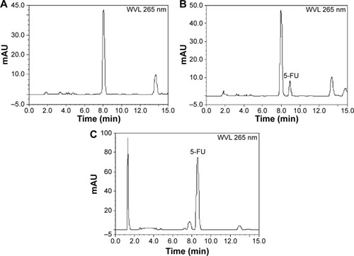 Figure 2 Representative HPLC chromatograms of 5-fluorouracil (5-FU) in rabbit plasma: (A) blank plasma; (B) blank plasma spiked with 5-FU; and (C) plasma sample after oral administration of 5-FU hollow microspheres.