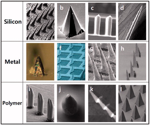 Figure 1. Different type of MAs made of silicon, metal, and polymer with microneedles of different shapes. Reprinted with permission from Butler (Citation2015).