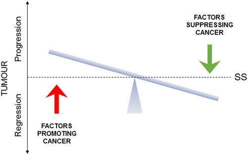 Figure 13. A schematic representation of the homeostatic balance of cancer. The figure illustrates that cancers are under the dynamic influence of opposite factors that promote or suppress the cancer. Depending on their balance, cancer will progress or regress. The horizontal bar indicates steady-state (SS), representing either a cancer-free or a benign state. The ultimate promise of integrated management of cancer is the possibility of living with cancer chronically as long as the balance is kept tilting away from “progression.” Adapted from Djamgoz and Plant (Citation209).