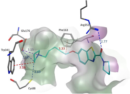 Figure 3. Binding mode of compound 3s within the homology model of H3R. 3s was docked into the active site using MOE. In the binding model, compound 3s formed three hydrogen bond interactions with Glu176, Cys88, and Arg351, a salt bridge with Glu176 and two CH–π interactions involving Trp341 and Phe163. Interactions are indicated by dashed lines and distances between the heavy atoms are given in Å.