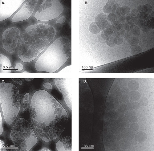 Figure 4. Cryo-TEM images of samples prepared using the same procedure as those used in the transfection experiments with a EPOPC:DNA +:− charge ratio of 2:1, without (a, b) or with (c, d) the inclusion of ALA in an amount corresponding to a +:− charge ratio of 2:1, in two different magnifications for each sample.