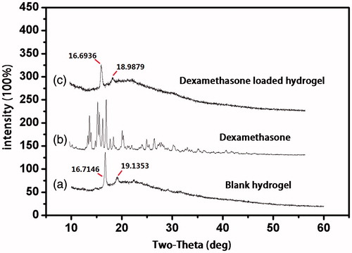 Figure 1. X-ray powder diffraction pattern of (a) blank hydrogel; (b) dexamethasone; and (c) dexamethasone hydrogel.