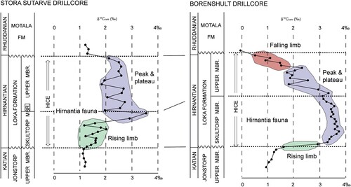 Figure 14. (Colour version online) HICE of the Stora Sutarve core compared to the HICE of the Borenshult core in south-central Swedish mainland. Because of the very large amount of data points in the Stora Sutarve core, and to simplify general correlation, we only show isotope sample series SU here (see Table 1). This sample series is taken at regular intervals in a comparable way to the samples from the Borenshult core. The rising limb of the HICE is marked in green, the peak and plateau are marked in blue and the falling limb is marked in red.