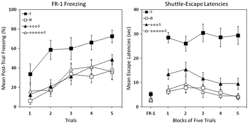 Figure 4. Percent freezing (left panel) and shuttle escape latencies (right panel) for four groups in Experiment 4. Two groups were exposed to traumatic shock stress (Group S) or simple restraint (Group R). Two other groups were trained with 3 or 5 d of 25 inescapable tail shocks with interpolated days of rest followed by traumatic shock (Groups s-s-s-S and s-s-s-s-s-S). Shuttle-escape testing occurred 24 h later. Freezing was measured over five trials (FR-1) at the start of the shuttle-escape test. Impaired escape performance was assessed over the next 25 trials (FR-2).