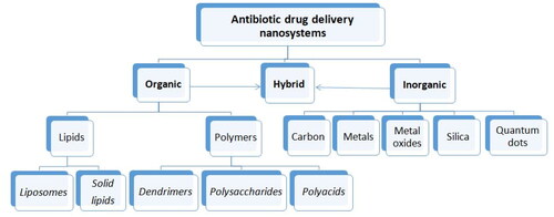 Figure 2. The nanoparticulate drug delivery systems being explored in antimicrobial therapy.