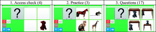 Figure 2. Static image-based assessment: Screen examples – the number in parentheses indicates the number of questions in each section.
