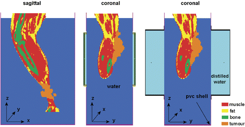 Figure 4. Sagittal and coronal cross sections of the modelled set-up of the leg in a PVC box with CFMA (centre) and waveguide (right) applicators.