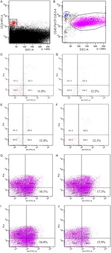 Figure 2. Flow cytometric analysis of apoptotic marker expression in post-thaw UCB samples. The gating of CD34+ cells (P2) (A) and CD45+ cells (P1) (B) from UCB samples after thawing. Gated CD34+ cells (P2) at time PT0 (C), 10 (D), 20 (E), and 30 minutes (F) were analyzed for apoptotic markers as assessed by staining with Ann V and PI. Gated CD45+ cells (P1) from UCB samples at time PT0 (G), 10 (H), 20 (I), and 30 minutes (J) were also analyzed for apoptotic markers.