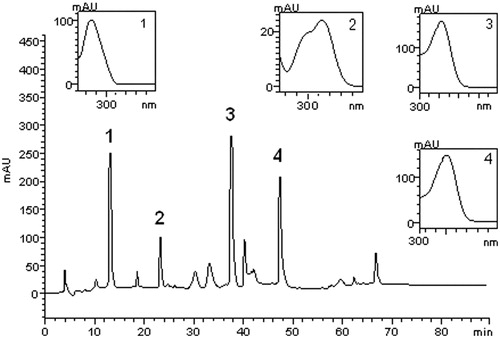 Figure 2. High-performance liquid chromatography phenolics and flavonoids profile of aqueous extract at 30 mg/mL from the leaves of C. xanthocarpa. Gallic acid (peak 1), chlorogenic acid (peak 2), rutin (peak 3) and quercetin (peak 4).