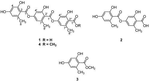 Figure 1.  The chemical structures of 1–4.