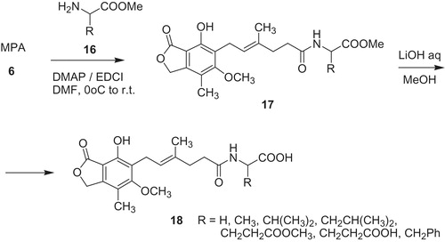 Scheme 3. Synthesis of amino acid MPA derivative 17 and 18Citation39.