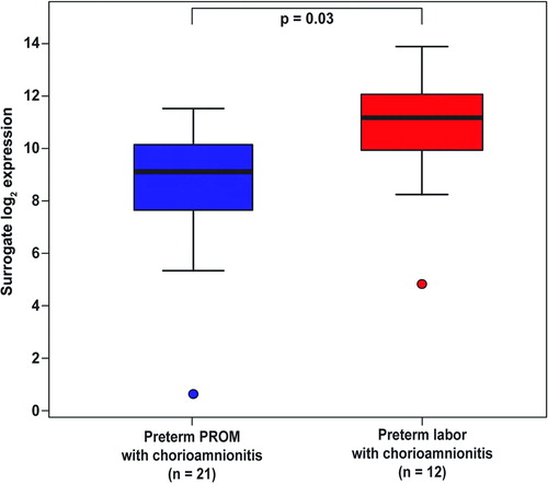 Figure 4.  Mn SOD mRNA expression in the fetal membranes was higher in patients with spontaneous preterm labor and chorioamnionitis than in those with preterm PROM and chorioamnionitis (4.3-fold, p = 0.03).