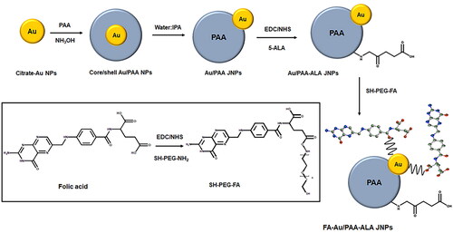 Scheme 1. Schematic illustration of controlled synthesis of FA-Au/PAA-ALA JNPs.