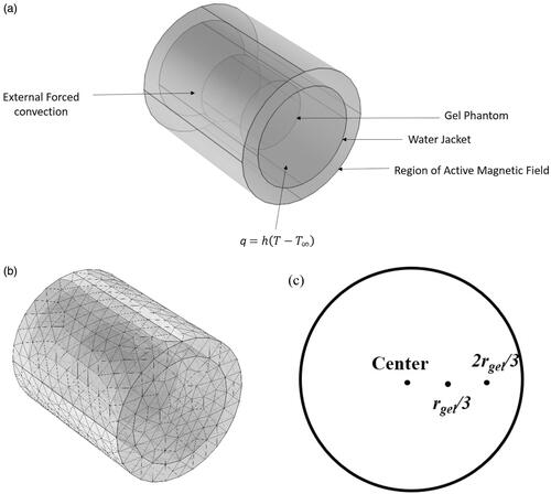 Figure 1. (a) Schematic of the computational model considered in the study computational model consists of three concentric cylindrical domains with the innermost domain being the gel phantom, the second layer being the water jacket and the outermost being the magnetic coil. (b) Sample mesh plot of the computational domains. (c) Three locations along the radius where temperatures were compared.
