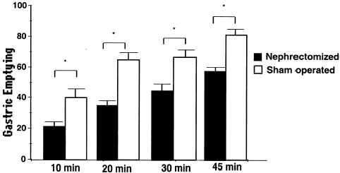 Figure 1.Effect of bilateral nephrectomy (▪) or sham-operation (□) on the liquid gastric emptying rates in awake rats. The animals were studied 1 day after surgery and sacrificed at 0, 10, 20, 30 or 45 min after liquid meal (1.5 mL of 0.5 mg mL−1 phenol red in 5% glucose solution). Fractional dye recovery was obtained by spectrophotometry from the stomach of sham-operated and nephrectomy groups. Bars represent the gastric emptying (%) mean values while vertical lines means the standard error of mean. n, number of observations. *, P < 0.05 for sham-operation vs. nephrectomy values (ANOVA and Student–Newman–Keuls test).