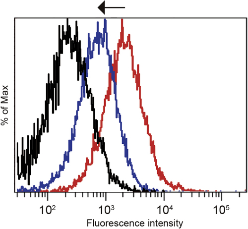 Figure 4. Inhibition of the cellular uptake of cRGD-PICsomes using echistatin in HUVECs. Black line, untreated cells; red line, cells incubated with Cy3-labeled 100%-cRGD-PICsomes; blue line, cells treated with 10 nM echistatin and incubated with Cy3-labeled 100%-cRGD-PICsomes.