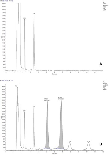 Figure 3 Chromatograph of blank plasma in the HPLC-PDA method (A); chromatograph of blank plasma spiked with norvancomycin and vancomycin (B).