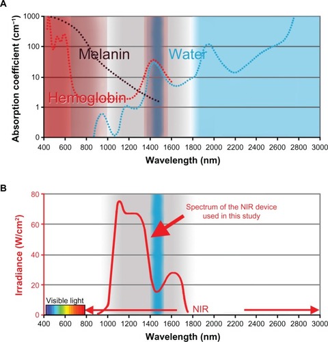Figure 1 (A) Absorption coefficients of melanin (black), hemoglobin (red), and water (blue). (B) The NIR device used in the present study emits a spectrum of near-infrared from 1,000 nm to 1,800 nm (bold red), with filtering of wavelengths between 1,400 nm and 1,500 nm (blue belt), which are strongly absorbed by water and hemoglobin. Cited and revised from Figure 1 in Tanaka et al. Non-thermal cytocidal effect of NIR irradiation on cultured cancer cells using specialized device. Cancer Sci. 2010;101:1396–1402.Citation20