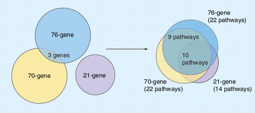 Figure 1. Overlap in three gene expression signatures when common pathways are analyzed.