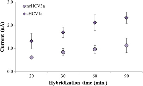 Figure 4. Effect of the hybridization time on the guanine oxidation signal of the biosensor after hybridization with its complementary target oligonucleotide (c-HCV1a) and noncomplementary oligonucleotide (nc-HCV3a). Probe and target concentrations were 2.5 μM. Immobilization time was 60 min. Error bars represent the standard deviation of three independent measurements.