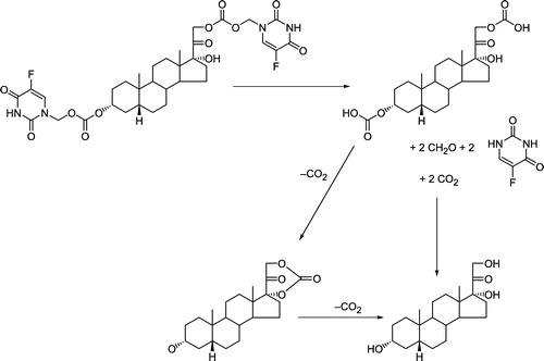 Figure 9 Proposed hydrolysis products, based upon 1H-NMR spectrum of the isolated hydrolysis intermediate O3α-, O21-di-(N1-methyloxycarbonyl-2, 4-dioxo-5-fluoropyrimidinyl)17α- hydroxy-5β-pregnan-20-one codrug [THS-BIS-5FU] (11).