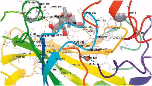 Figure 3. Detailed interactions of grayanotoxin III (GTX3) when bound to the hCA II active site. Docking score at CA-II: −8.29 kcal/mol; (Glide Induced Fit Docking). The protein backbone is represented with residue position default colors in Maestro, the catalytic Zn(II) ion as the pale brown sphere and GTX3 is shown as stick model (carbon gray, oxygen red, hydrogen white). Amino acid residues and water molecules involved in the interaction with grayanotoxin III are also evidenced (CPK colors; hCA I numbering system).
