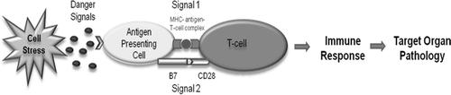 Figure 1.  The Danger Hypothesis applied to IDRs. The drug or its reactive metabolite can form antigenic adducts with endogenous molecules that are presented to T-cells on major histocompatibility complexes of antigen-presenting cells (Signal 1). Additionally, the drug or reactive metabolite may induce cell stress or damage through processes such as redox cycling and oxidative damage. This may lead to the release of danger signals to up-regulate co-stimulatory molecules such as B7 and CD40 on antigen-presenting cells to activate T-cells (Signal 2). Signals 1 and 2 are required concurrently to initiate an adaptive immune response and certain drugs have the ability to induce both signals.