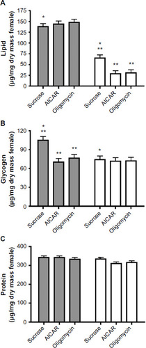 Figure 1 Effect of AMPK activators on nutrient reserves of adult female Georgecraigius atropalpus.