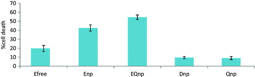 Figure 5. Comparative % cell death at same concentration (10 μM) of different nanoparticles with free etoposide (where, Efree is free etoposide suspension, ENP is etoposide nanoparticles, EQNP is etoposide and quercetin dual loaded nanoparticles, DNP is dummy nanoparticles and QNP is quercetin loaded nanoparticles).