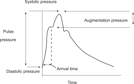 Figure 2 Central pressure waveform. The height of the late systolic peak above the inflection defines the augmented pressure, and the ratio of augmented pressure to pulse pressure identifies the augmentation index (in percent). Reproduced with permission from Agabiti-Rosei E, Mancia G, O’Rourke MF, et al. Central blood pressure measurements and antihypertensive therapy: a consensus document. Hypertension. 2007;50:154–160.Citation4 Copyright © 2007 Lippincott Williams & Wilkins.