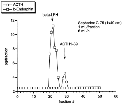 Figure 3. Gel filtration of plasma from our patient on a Sephadex G-75 column. The elusion profile of plasma sample from our patient chromatographed on a Sephadex G-75 column showed two peaks of (1-39)-ACTH and β-lipotropin, with no evidence of high molecular weight form of ACTH.