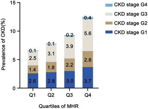 Figure 2. Prevalence of CKD according to the quartile of MHR. The prevalence of CKD according to the quartiles of MHR was shown in different colored bars (dark blue: CKD stage G1, brown: CKD stage G2, gray: CKD stage G3, light blue: CKD stage G4). MHR: monocyte to high-density lipoprotein cholesterol ratio; CKD: chronic kidney disease.