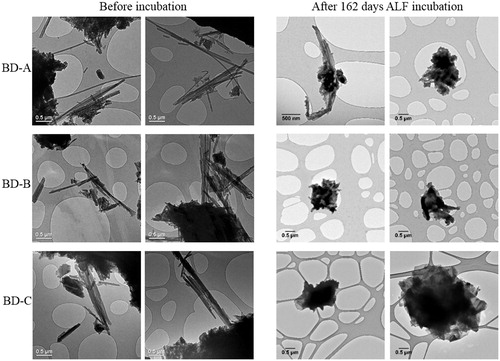 Figure 4. TEM micrographs of asbestos-containing BD prior to incubation in ALF and after 168 days incubation in ALF.
