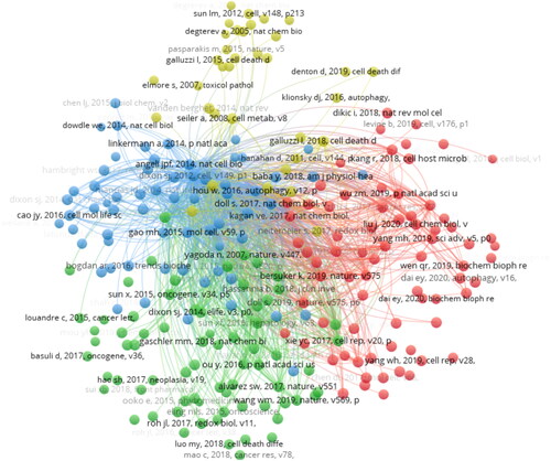 Figure 9. Co-cited references analyzed by VOS viewer.